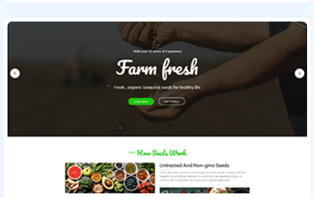 WordPress Theme 