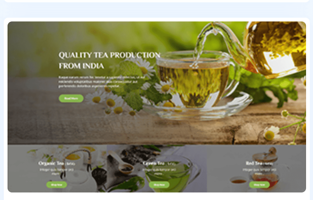 WordPress Theme 