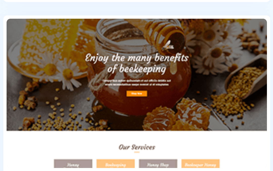 WordPress Theme 