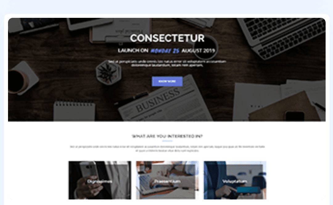 WordPress Theme 