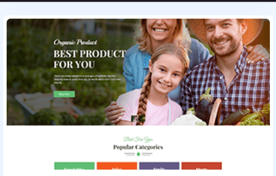 Organic food store WordPress Theme 