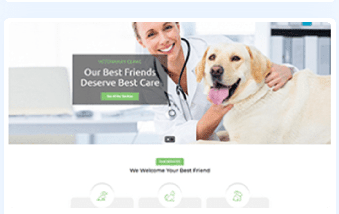 Veterinarian WordPress Theme 