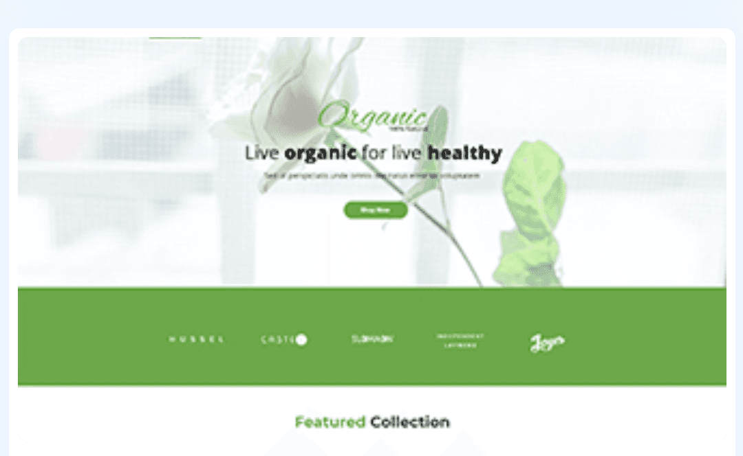 Organic beauty shop WordPress Theme 