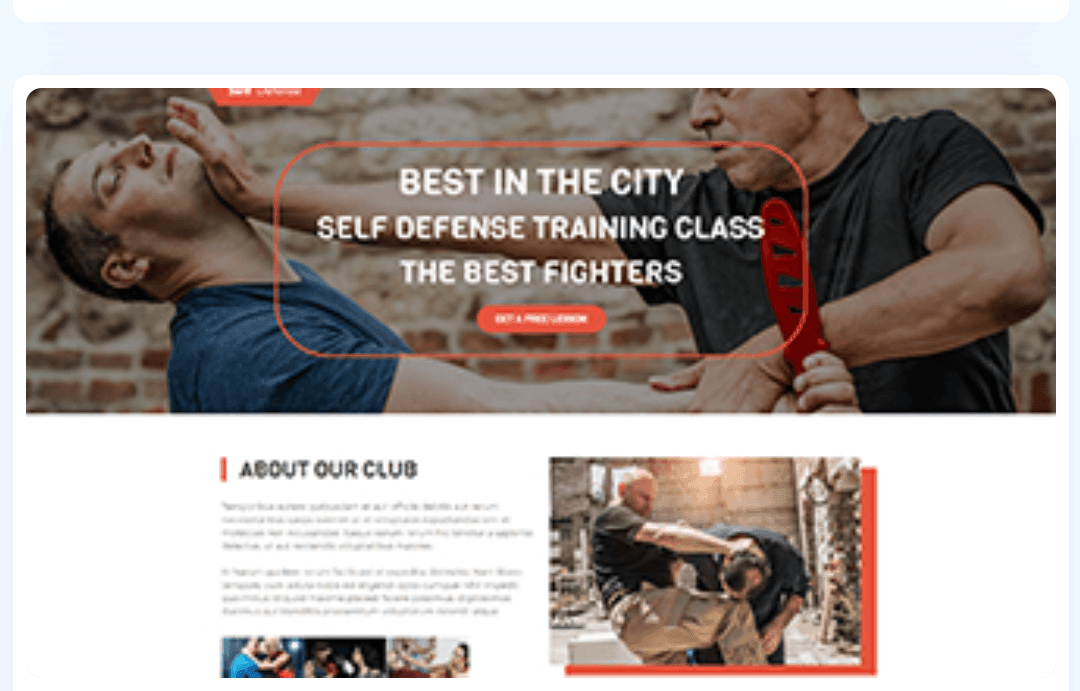 WordPress Theme 