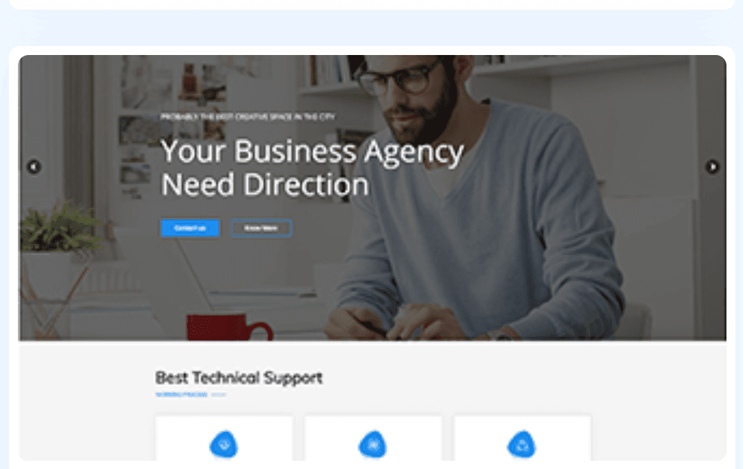 WordPress Theme 