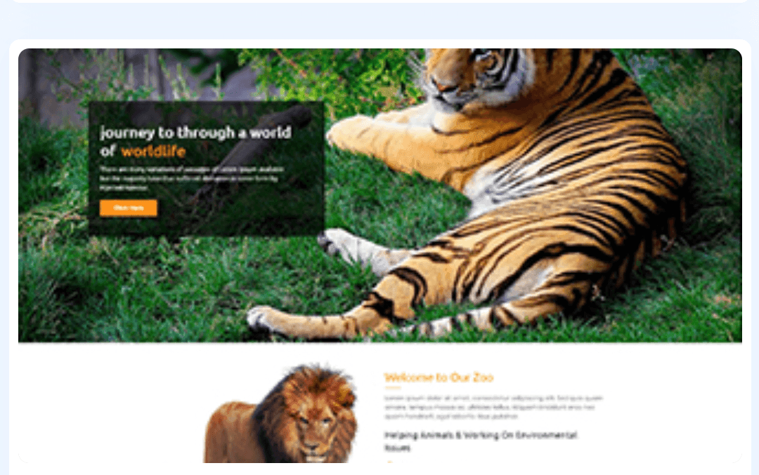 Zoo WordPress Theme 