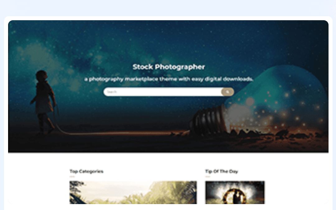 WordPress Theme 